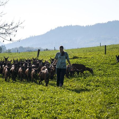 Agroturistika kozí farma Rožnov pod Radhoštěm Roznov pod Radhostem Exterior foto