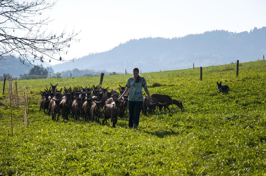 Agroturistika kozí farma Rožnov pod Radhoštěm Roznov pod Radhostem Exterior foto